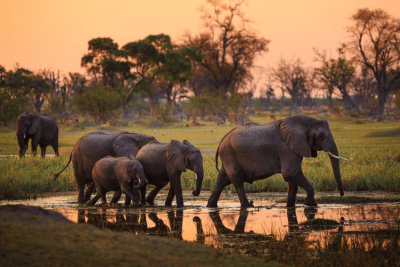 where to travel in june in africa